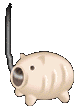 buta[1].gif (5853 oCg)